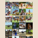 Bildgalleri--Vhorses---vhorses.se.jpg