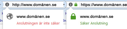 Vad innebär HTTPS och SSL?